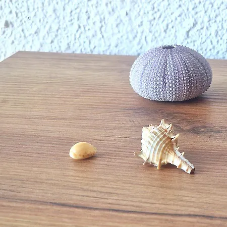 شقة Primavera Sea View